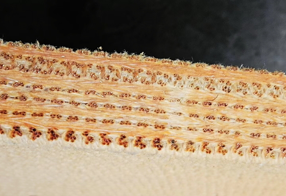 Materiale del freno del filo di rame, filo tessuto, filo di ottone rinforzato